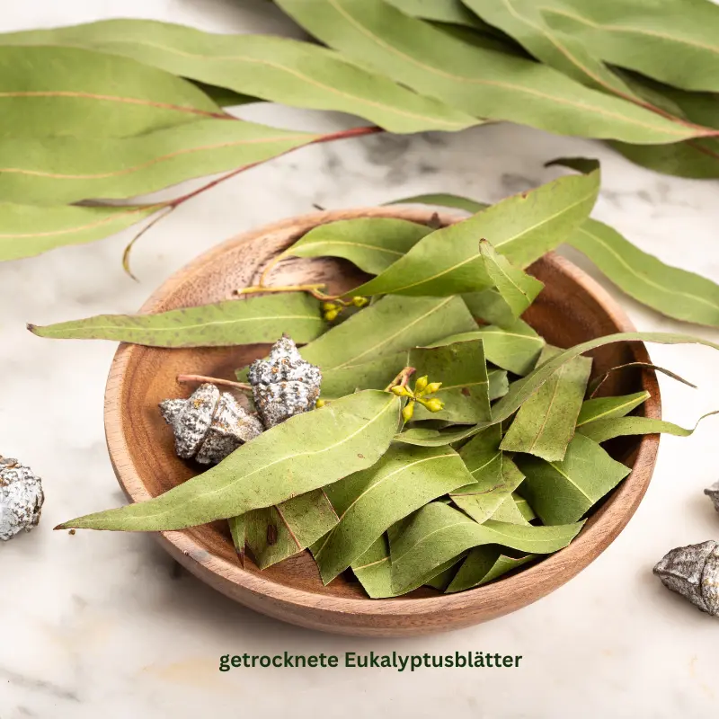 Getrocknete Eukalyptusblätter in Holzschale – naturbelassen und aromatisch
