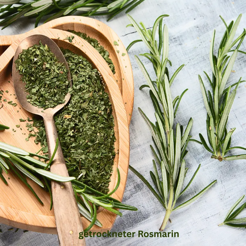 Getrockneter Rosmarin in Holzschale mit frischen Zweigen – mediterranes Aroma von Verdeva Export