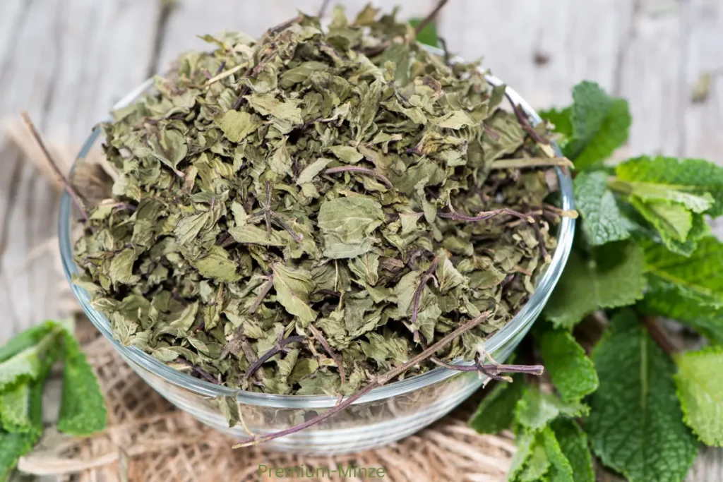 Schale mit Premium-getrockneten Minzblättern auf Holzuntergrund, frische Minze im Hintergrund, Verdeva B2B-Qualität.